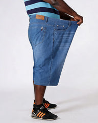 Thin Plus Size Denim Shorts