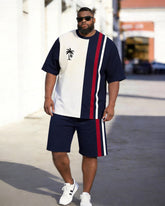Big & Tall Men's Navy Blue And White Color Block Coconut Striped Printed Crew Neck Short Sleeve T-shirt Shorts Set