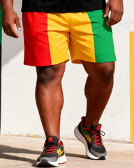 Big & Tall Men's Juneteenth Gamepad Print Crew Neck Short Sleeve T-shirt Shorts Set