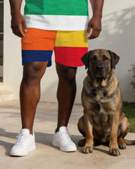 Multicolor Contrast Striped Business Casual Polo Shirt Set Large Size Men