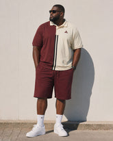 Big & Tall Men’s Red & Khaki Contrasting Color Simple Chest-Printed Polo Shirt And Short-Sleeve Shorts Set