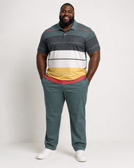 Big & Tall Men's Stripe Contrast Printed Polo Short Sleeve Pants Set