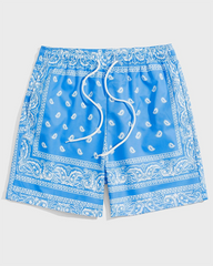 Men's Plus Size Sport Street Paisley Shorts