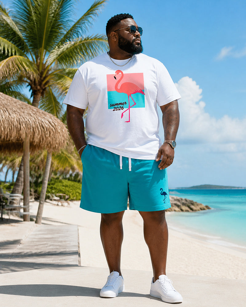 Big & Tall Men's Summer Flamingo Print Crew Neck Short-Sleeve T-Shirt And Shorts Set