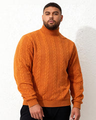 Big & Tall Men's Sweater Knitwear Daily Solid Color Youth Men's Fashion Jacquard High Neck Warm Wool S-3XL