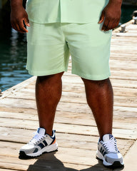 Big & Tall Men's Light Green Bottom Hummingbird Floral Print Short Sleeve Shirt Shorts Set