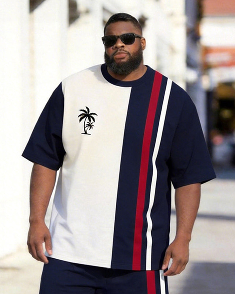 Big & Tall Men's Navy Blue And White Color Block Coconut Striped Printed Crew Neck Short Sleeve T-shirt Shorts Set