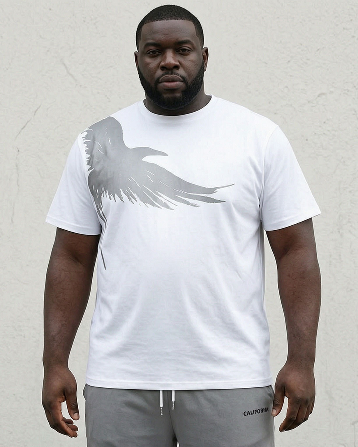 Big & Tall Men's Grey & White Shoulder Eagle Silhouette Print Short Sleeve T-Shirt Pants Set
