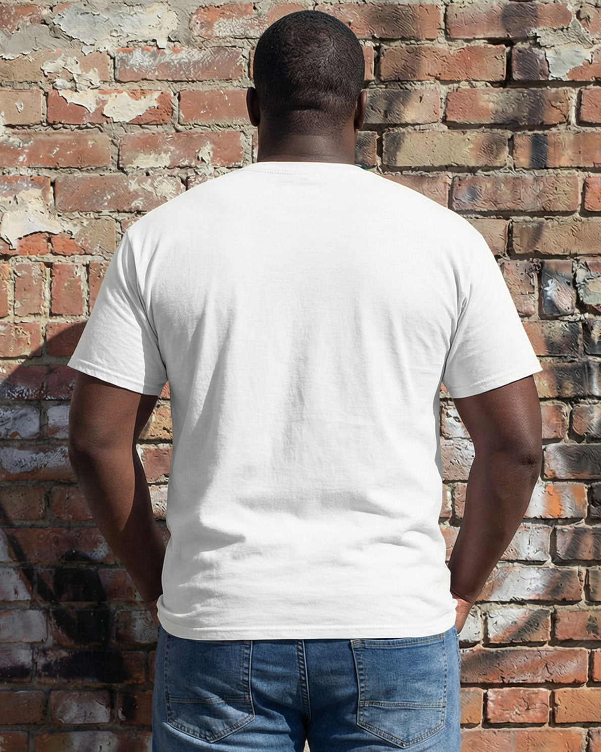 Celebrating The 250 Anniversary Of The Founding Of The United States T-shirt