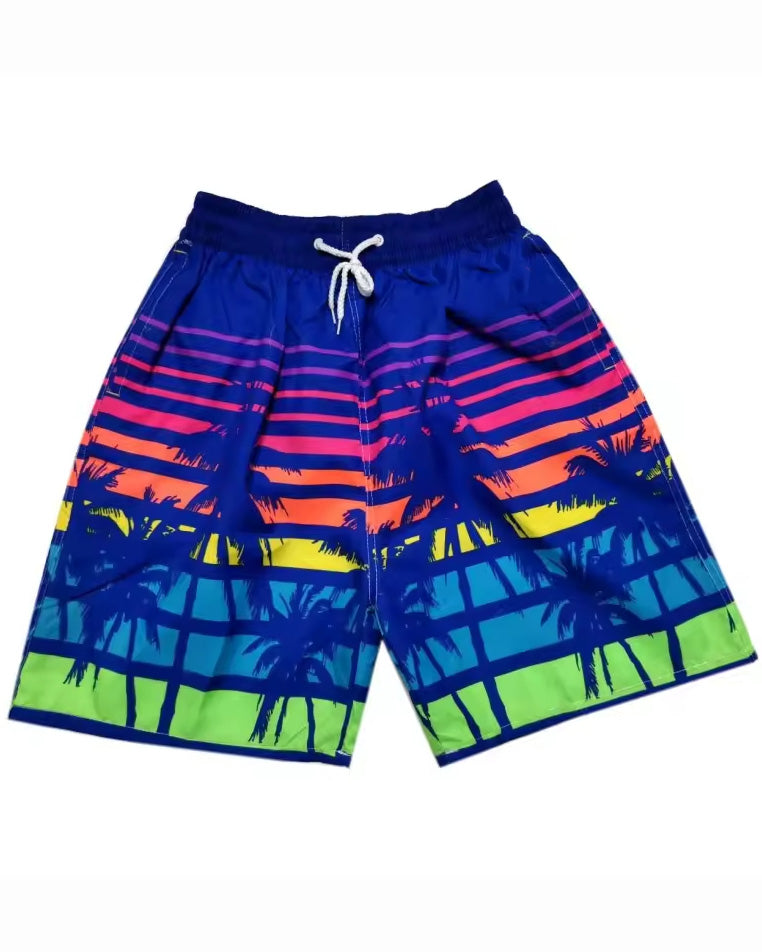 Big & Tall Men's Hawaii. Striped Violet Layered Gradient Coconut Tree Seaside Beach Pants