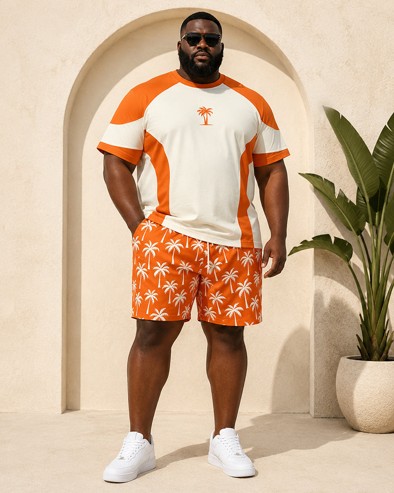 Big & Tall Men's Colorblock Coconut Print Round Neck Short Sleeve T-Shirt Shorts Set