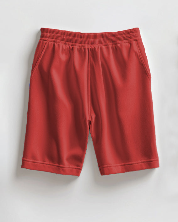 Men's Big & Tall Santa Claus Reindeer Short Sleeve Shirt Shorts Set