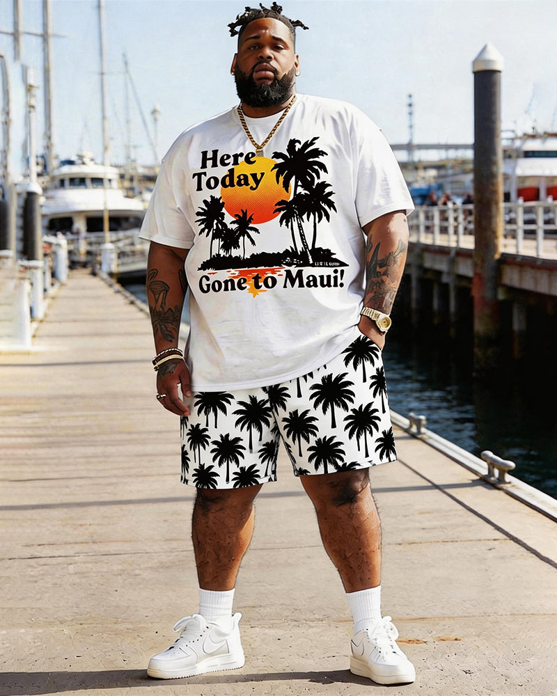 Big & Tall Men's Hawaiian Coconut Tree Sunset Print Round Neck Short Sleeve T-Shirt Shorts Set