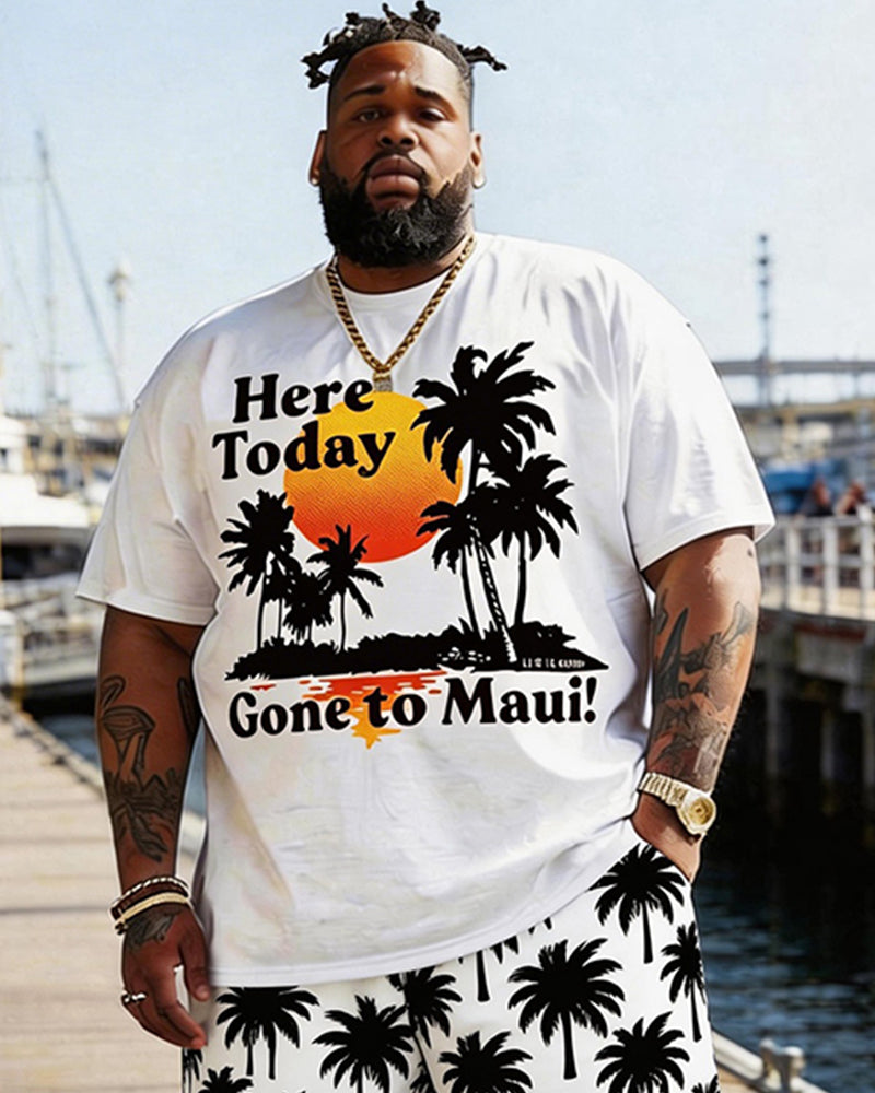 Big & Tall Men's Hawaiian Coconut Tree Sunset Print Round Neck Short Sleeve T-Shirt Shorts Set