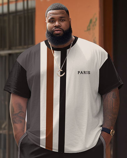 Big Guys Casual Simple Striped Colorblock Printed T-shirt Shorts Set