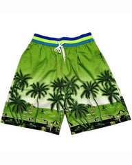 Big & Tall Men's Hawaii. Summer Gradient Green Coconut Tree Beach Pants