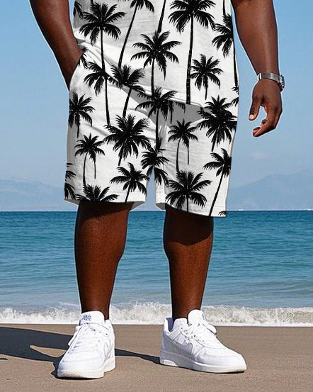 Big Men's Hawaiian Spirit Casual Coconut Trees All Over Printed Short Sleeve T-Shirt Shorts Set