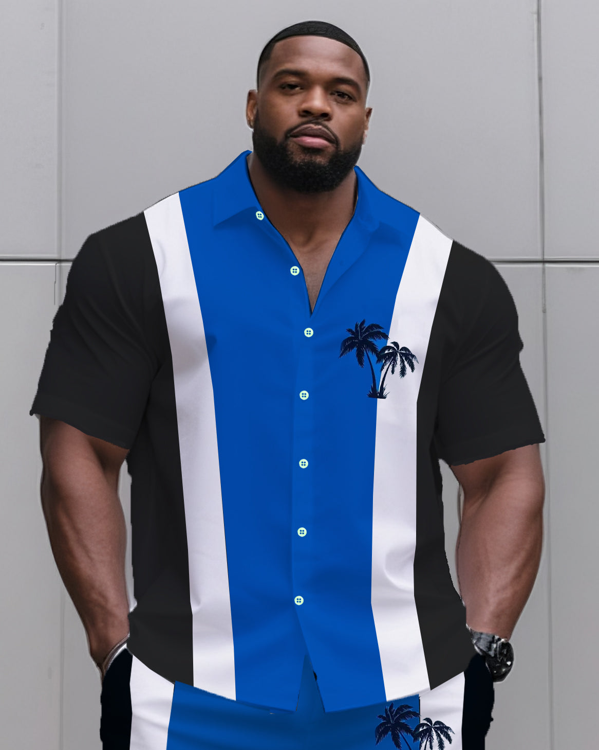 Big & Tall Men's Daily Leisure. Match 3 Color Striped Color. Micro Print Shirt Shorts Suit