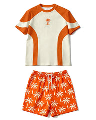 Big & Tall Men's Colorblock Coconut Print Round Neck Short Sleeve T-Shirt Shorts Set