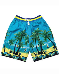 Big & Tall Men's Hawaii. Striped Sea Color Hierarchical Green Coconut Tree Seaside Beach Pants