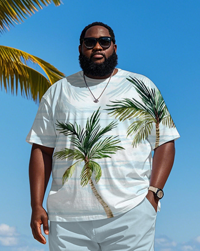Big & Tall Men's Hawaiian Blue Coconut Stripe Print Round Neck Short Sleeve T-Shirt Shorts Suit