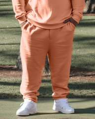 Men's Big & Tall Sweatsuit Florida A&M University Sweatshirt Pants Set