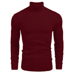 Winter Men's Knitted Turtleneck Slim Sweater